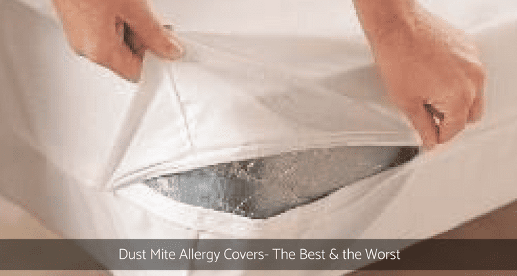 Dust Mite Allergy Covers