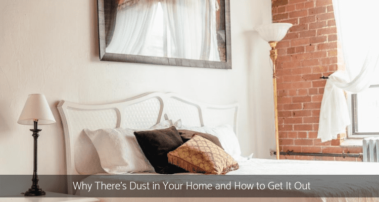 Dust in your home