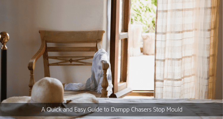 Stop Mould with Damp Chaser